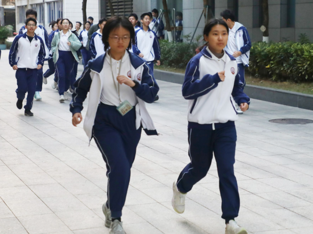 不断夯实基础教育高质量