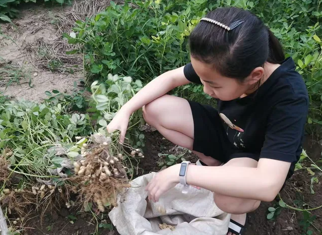 纳入安全提示实现“无死