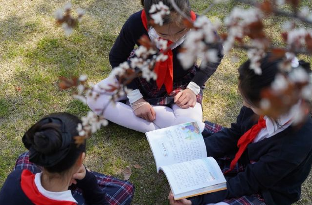 漫画趣味互动等五光十色