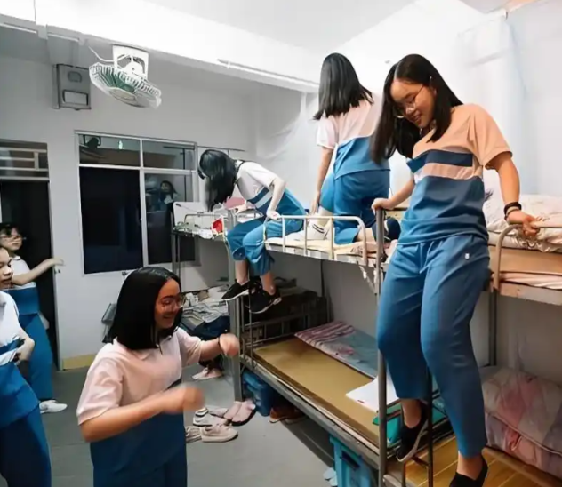 开发与使用在实践教育课