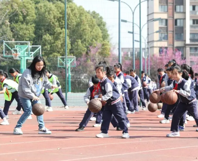 自主活动三段式全时段锻
